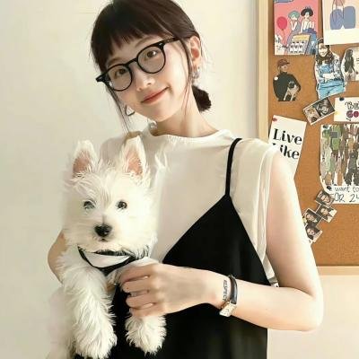 纸牌人生